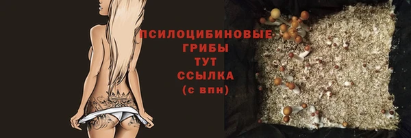 герыч Бердск